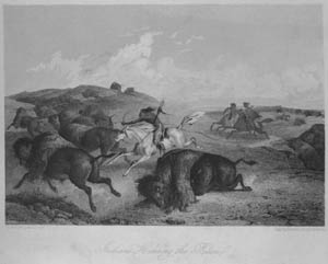 Indians Hunting the Bison